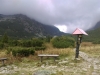 IMAG0011