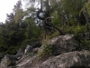 IMAG0040