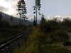 IMAG0045