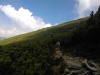 IMAG0054