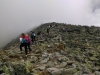 IMAG0065