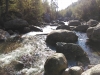 IMAG0152