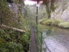 IMAG0241
