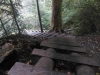 IMAG0272