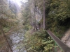 IMAG0276