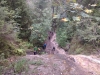 IMAG0292