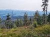 IMG-20240415-WA0004