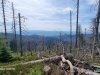 IMG-20240415-WA0012