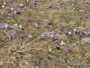 IMG-20240415-WA0014