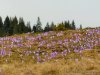 IMG-20240415-WA0048