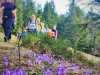 IMG-20240415-WA0068