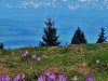 IMG-20240415-WA0073