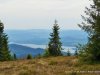 IMG-20240415-WA0079