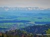 IMG-20240415-WA0082