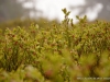 DSC_3276