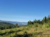 IMG-20260907-WA0019