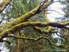 IMG-20230607-WA0004