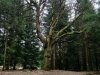 IMG-20230607-WA0020