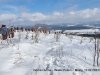 IMG-20230429-WA0079