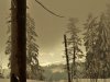 IMG-20230429-WA0107