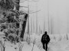IMG-20230429-WA0109