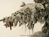 IMG-20230429-WA0112