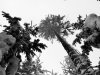 IMG-20230429-WA0115