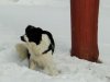 IMG-20230429-WA0139