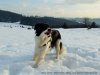 IMG-20230429-WA0157