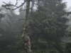 05-IMG-20260730-WA0020