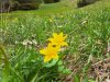 IMG-20230612-WA0002