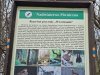 IMG-20230612-WA0007
